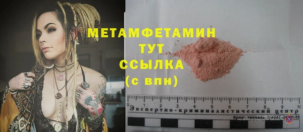 прущие грибы Дмитров