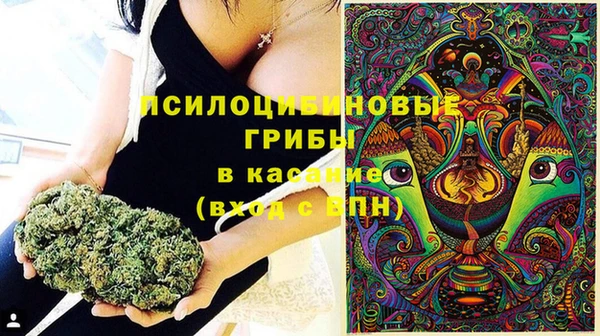 винт Аркадак
