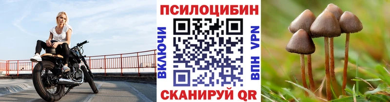 Псилоцибиновые грибы прущие грибы  Пустошка 